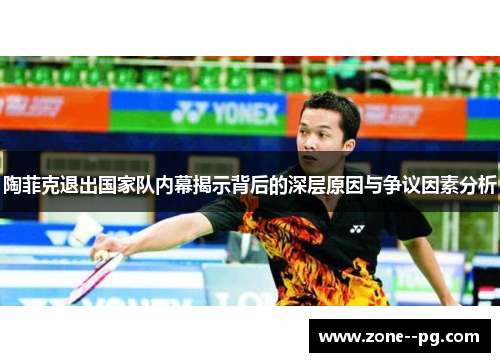 陶菲克退出国家队内幕揭示背后的深层原因与争议因素分析 陶菲克退出国家队内幕揭示背后的深层原因与争议因素分析