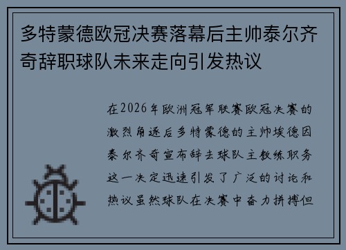 多特蒙德欧冠决赛落幕后主帅泰尔齐奇辞职球队未来走向引发热议